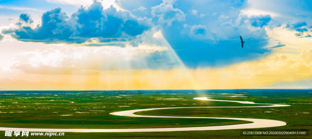 草原骏马高清图片