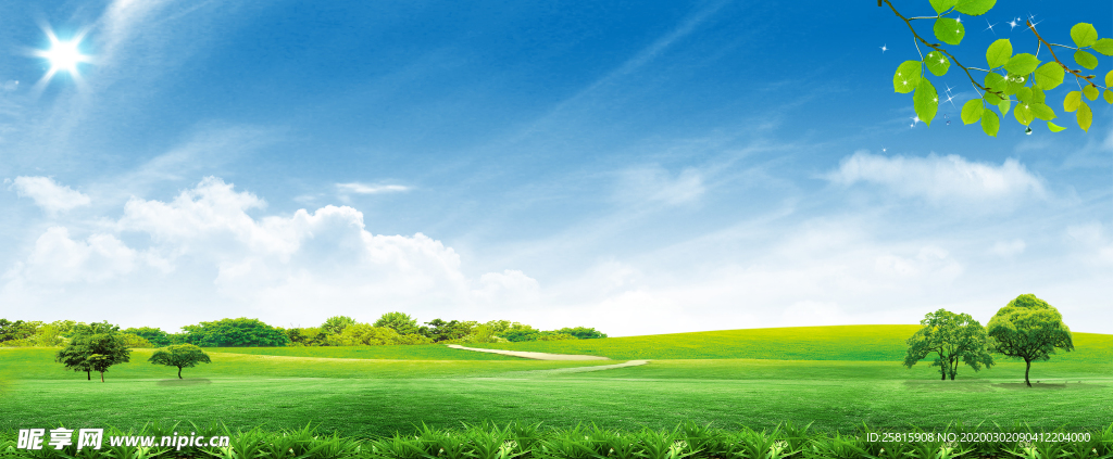 草原骏马高清图片