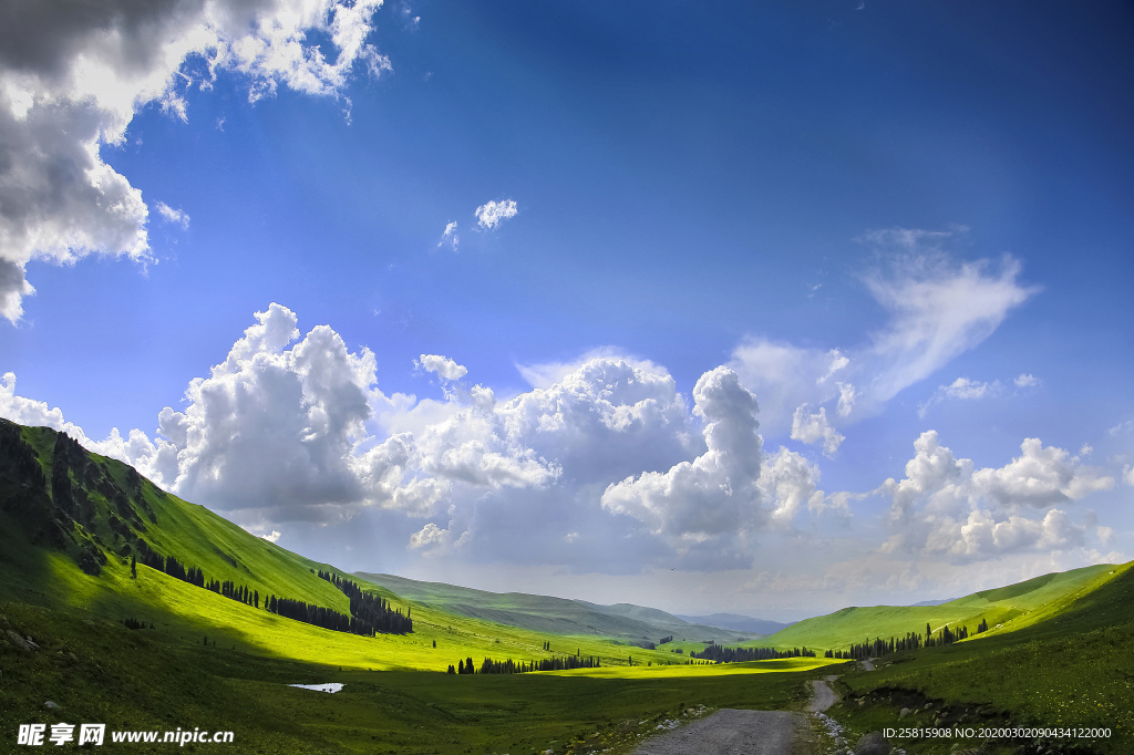 草原骏马高清图片