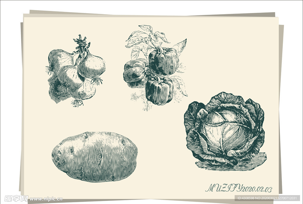 4款入 蔬菜手绘稿