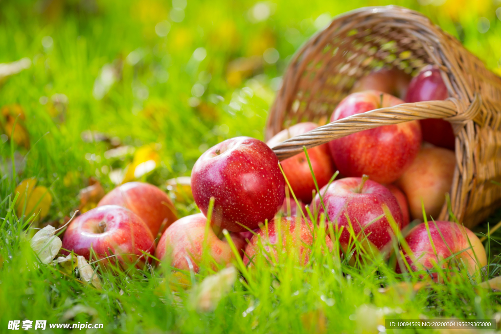 一篮苹果