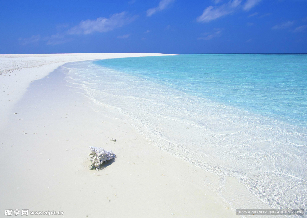 沙滩海岸图片