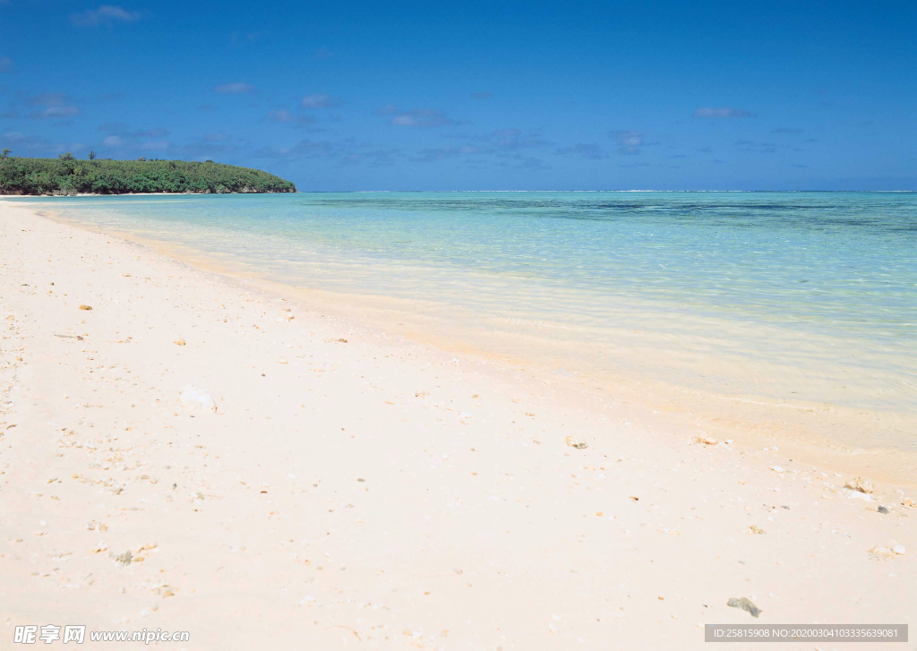沙滩海岸图片