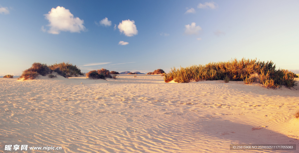 沙漠戈壁荒野图片