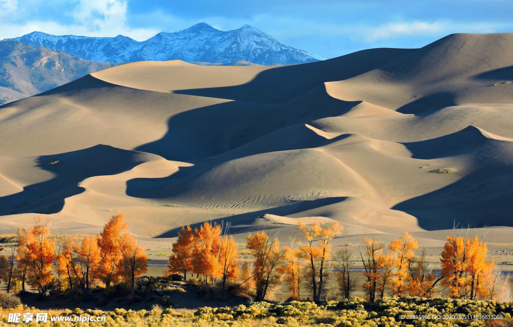 沙漠戈壁荒野图片