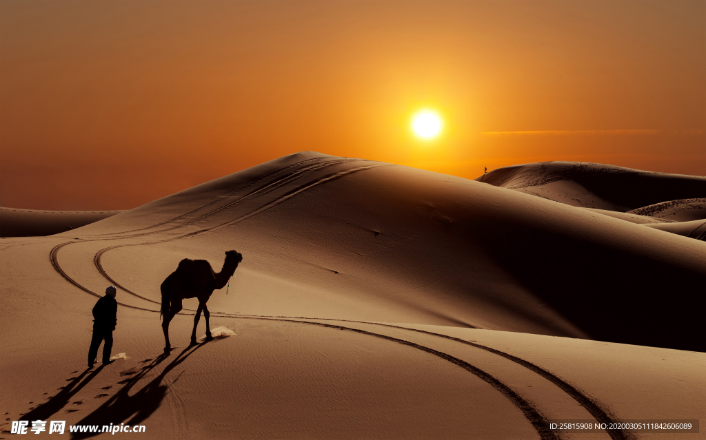 沙漠戈壁荒野图片