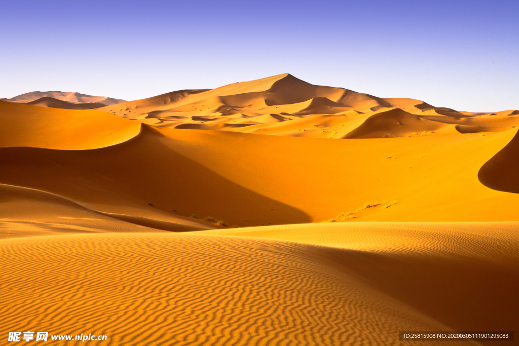 沙漠戈壁荒野图片