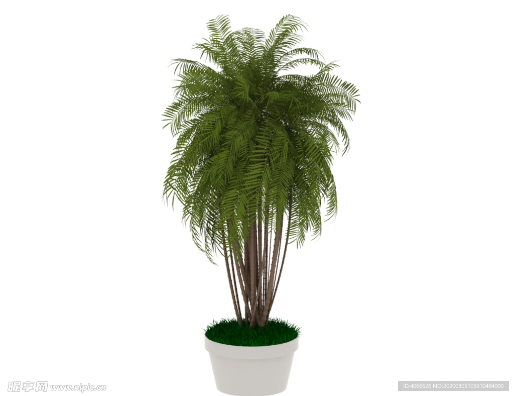 植物盆栽3d模型