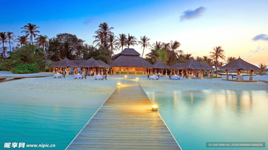 马尔代夫沙滩海岸小岛