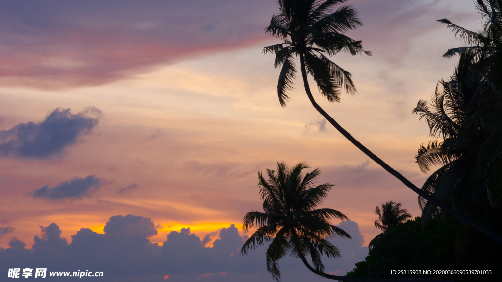 马尔代夫沙滩海岸小岛