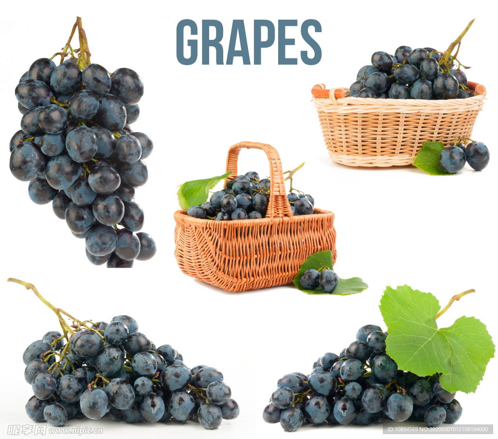 葡萄