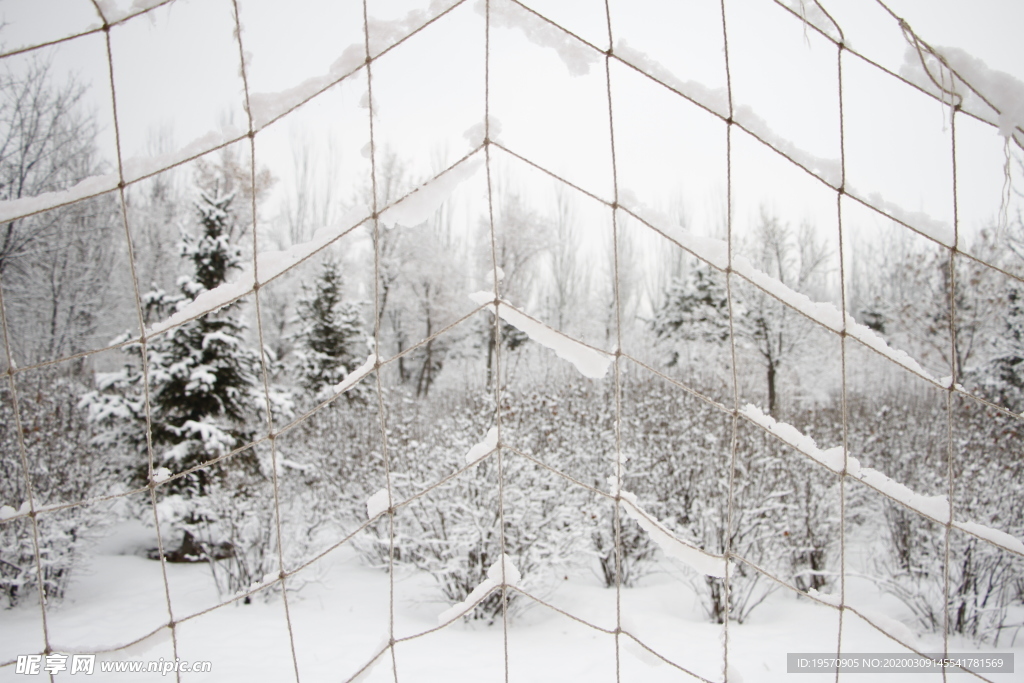 雪中绳网