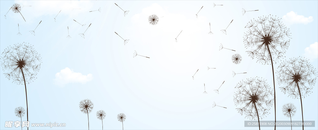 蒲公英图片