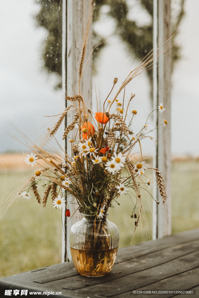 插花花艺花卉图片