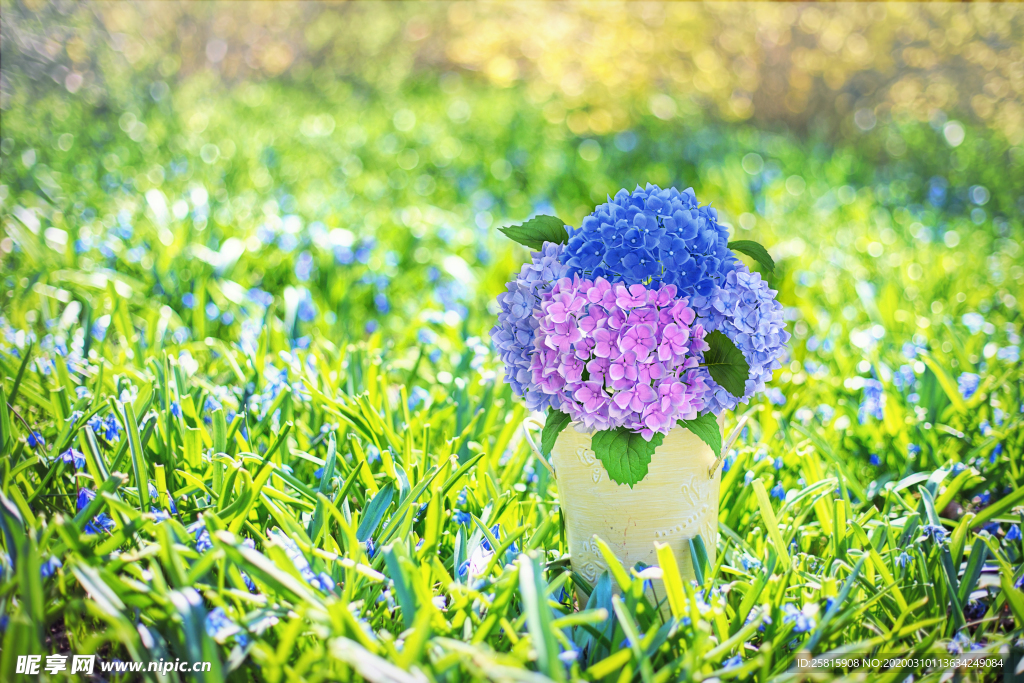 插花花艺花卉图片