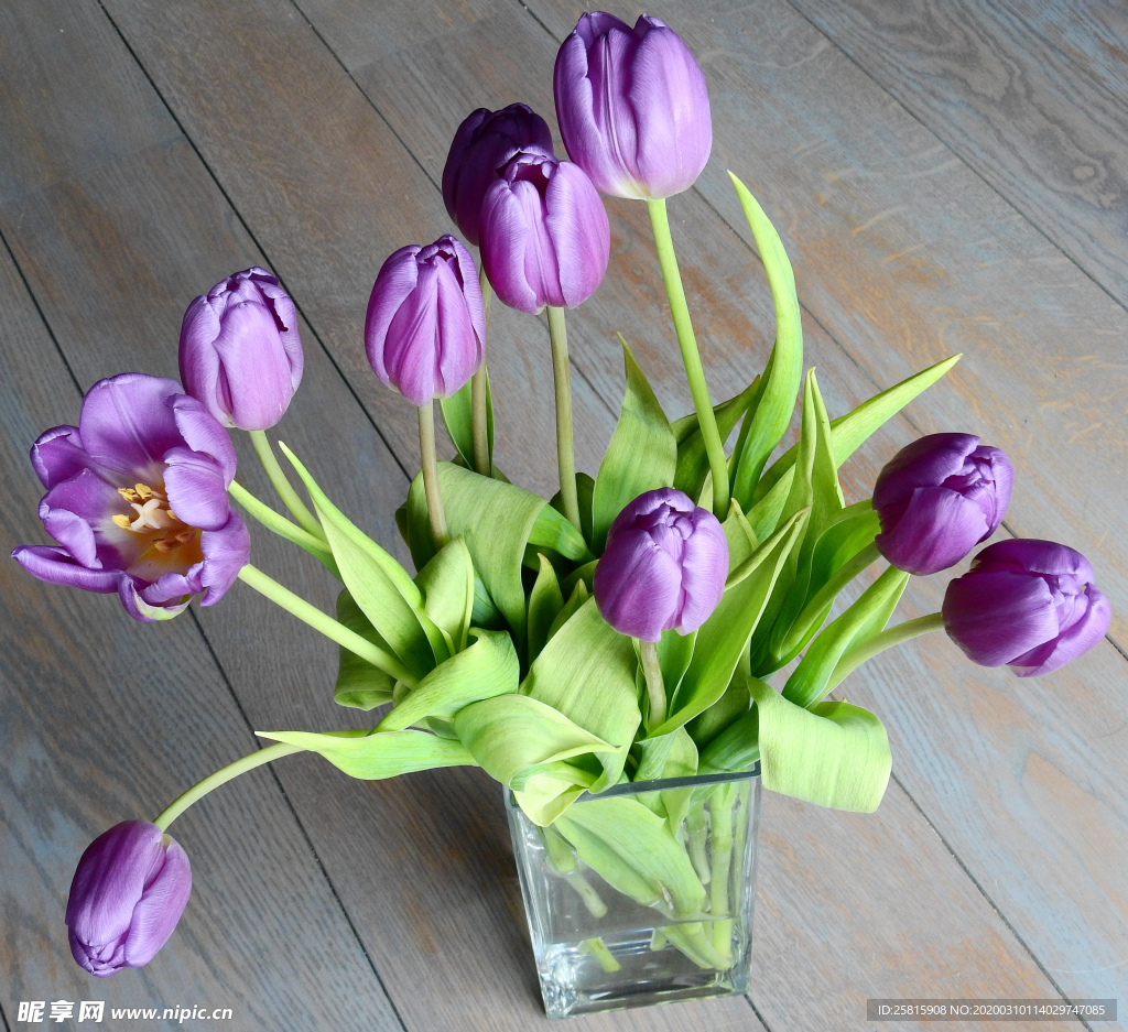 花卉花艺插花图片