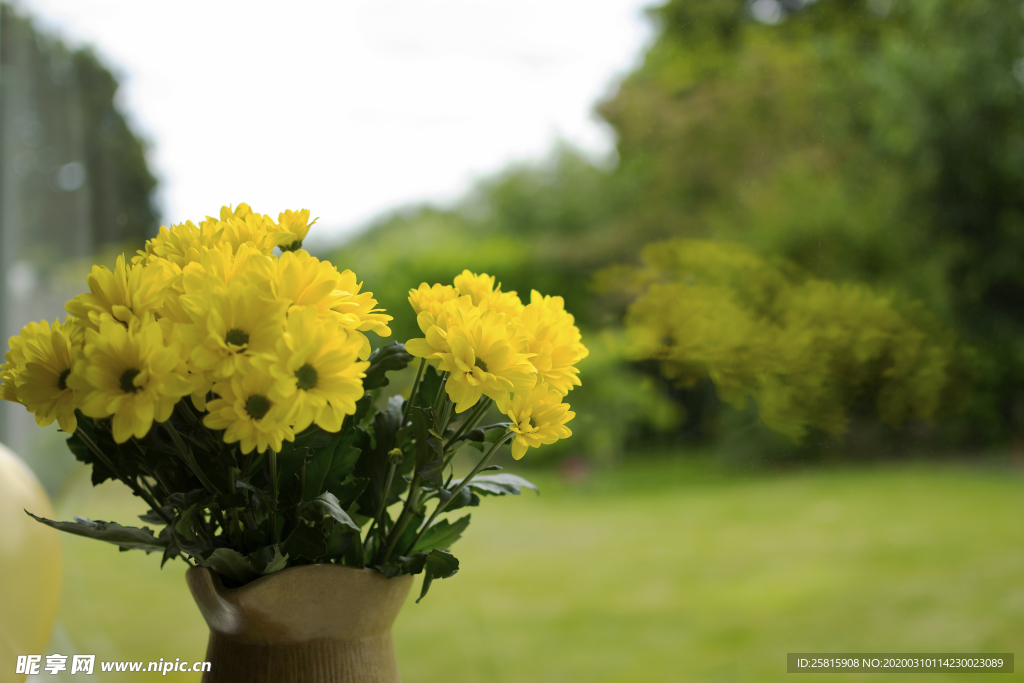 花卉花艺插花图片
