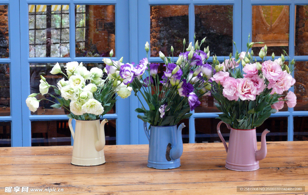 花卉花艺插花图片