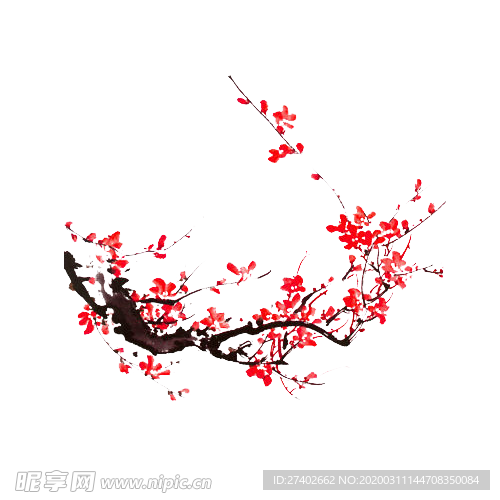 梅花素材