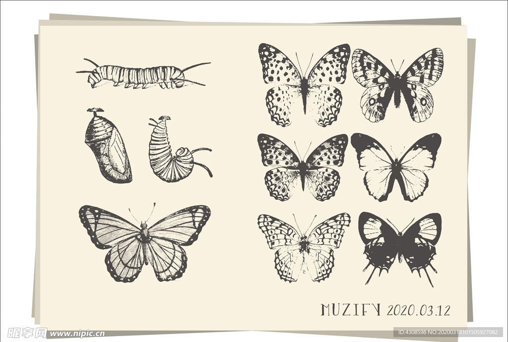 8款入蝴蝶手绘稿