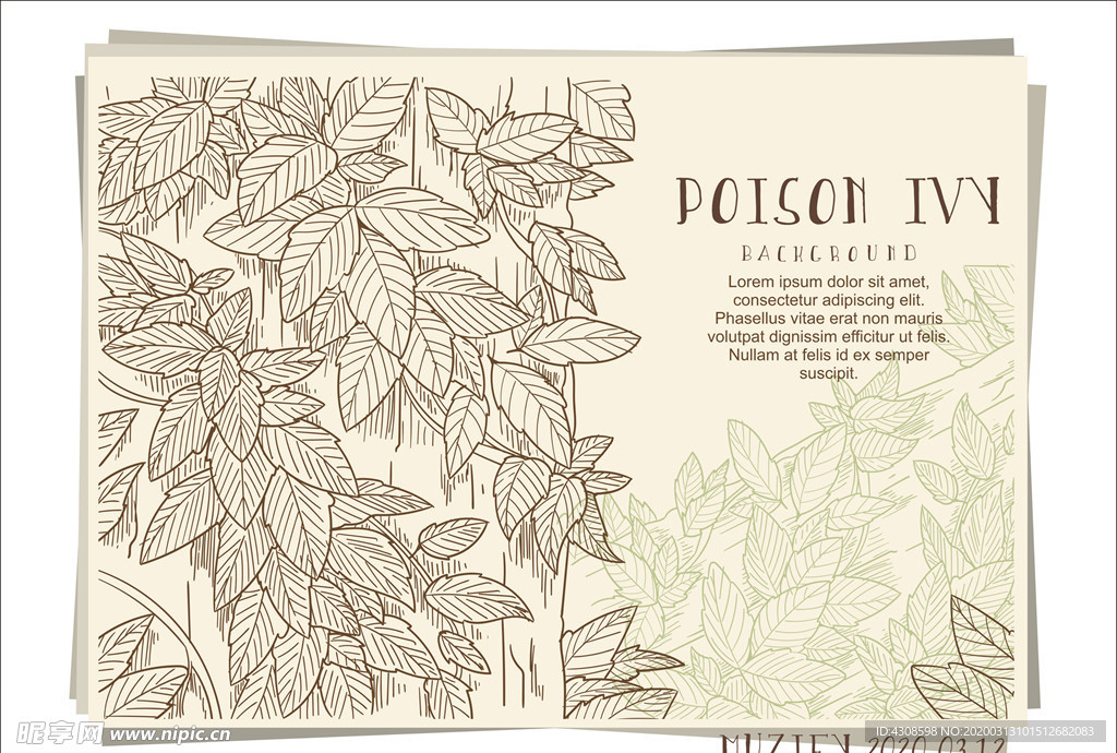 毒常春藤叶手绘稿