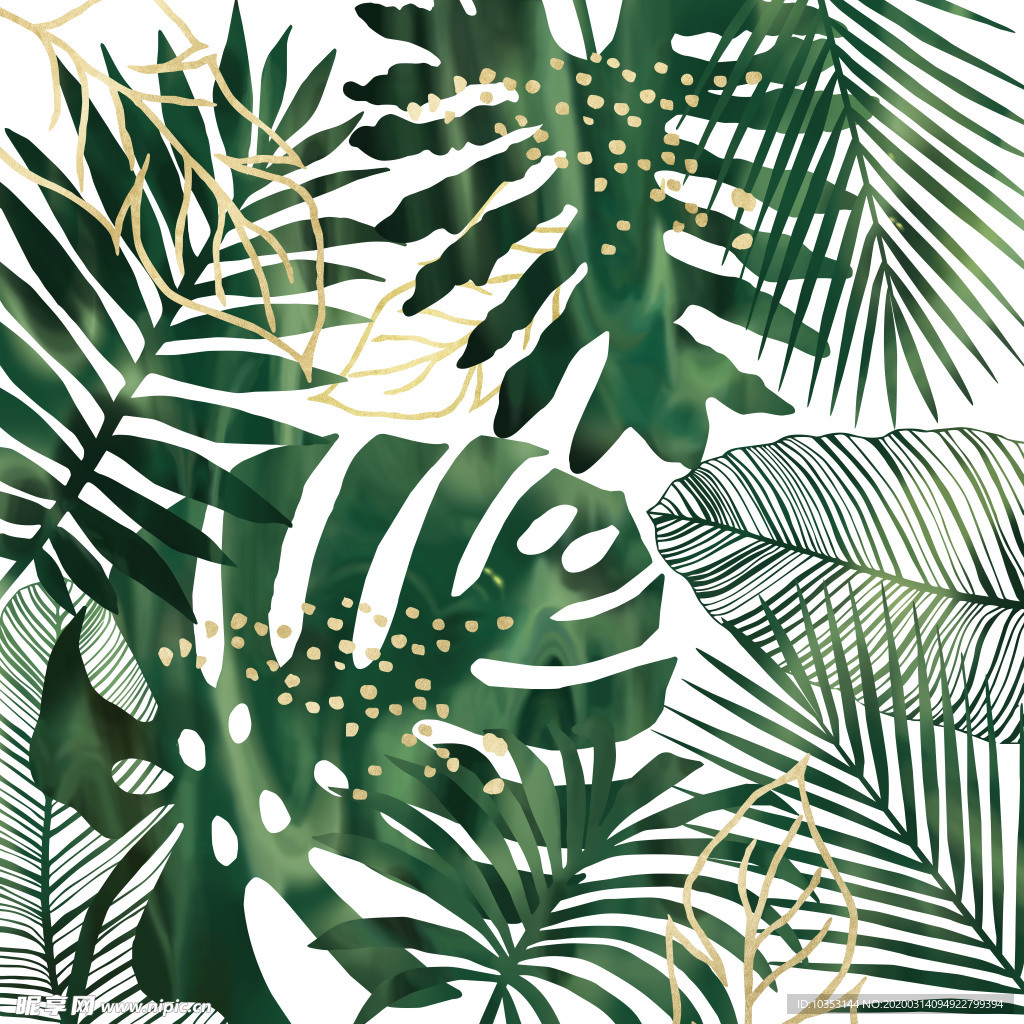 北欧风简约龟背叶树叶高清图片