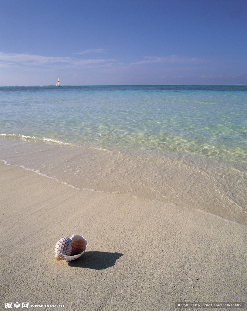 沙滩海岸海滩图片