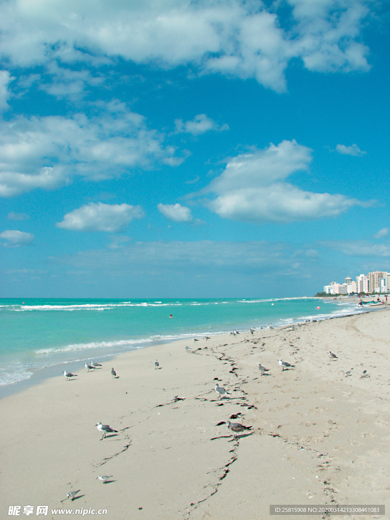 沙滩海岸海滩图片