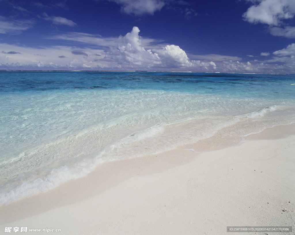 沙滩海岸海滩图片