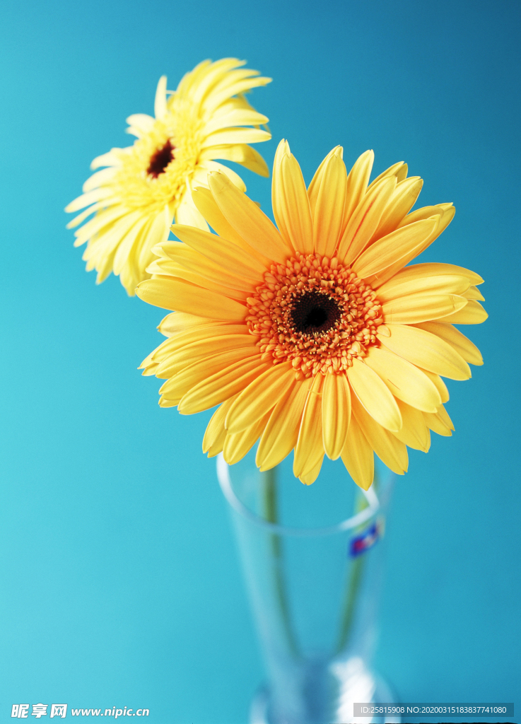 插花花艺花卉图片