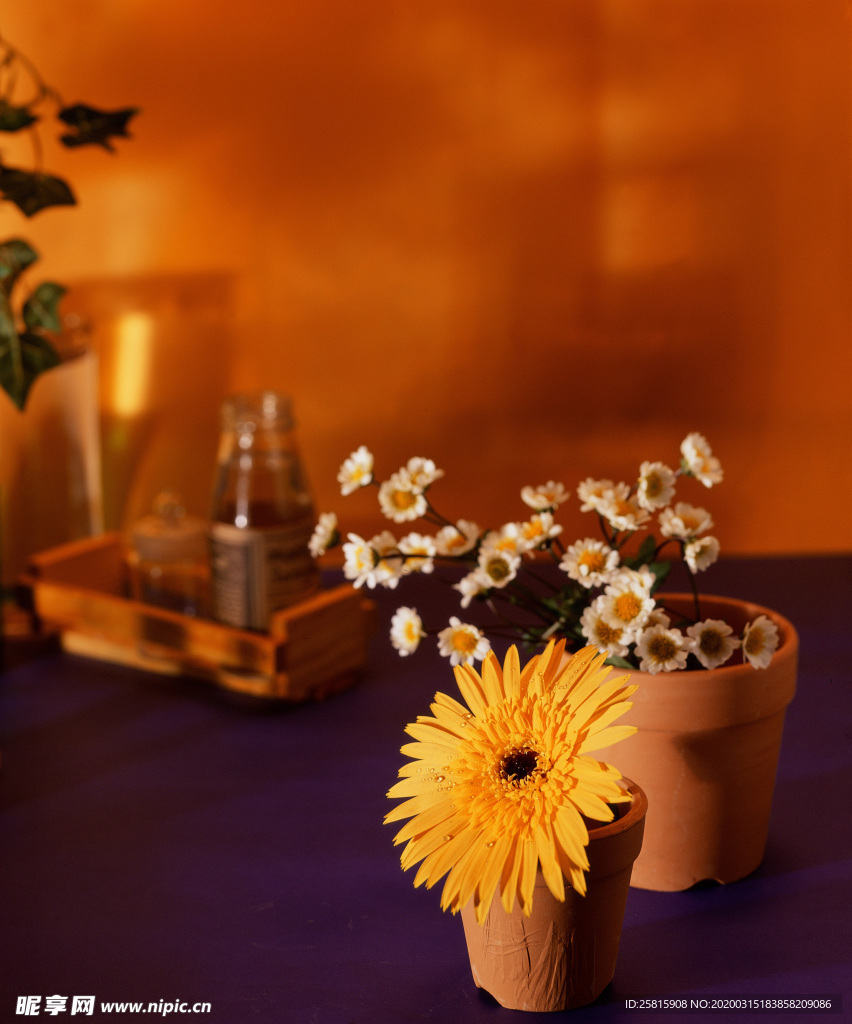 插花花艺花卉图片