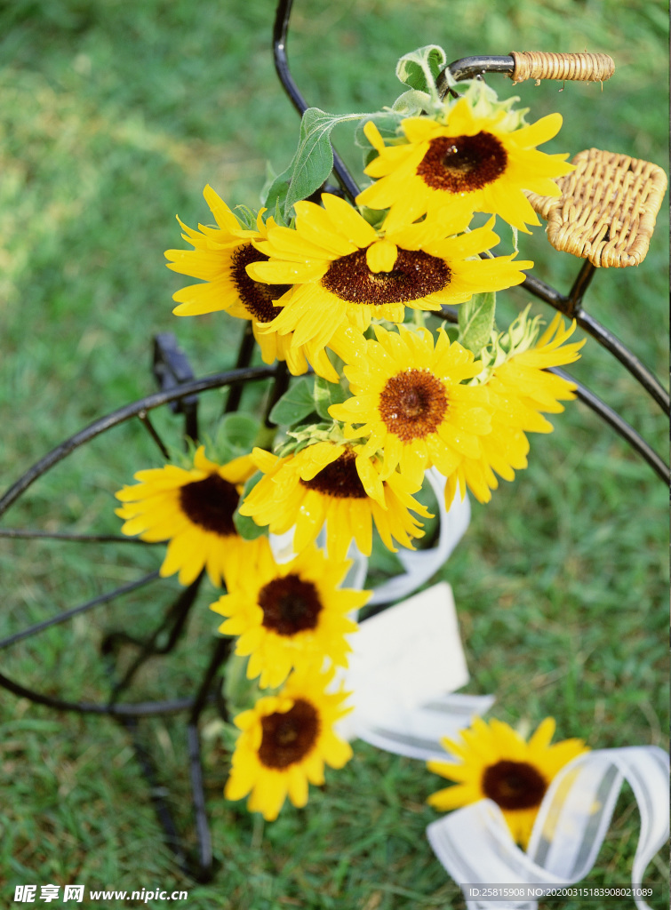 插花花艺花卉图片