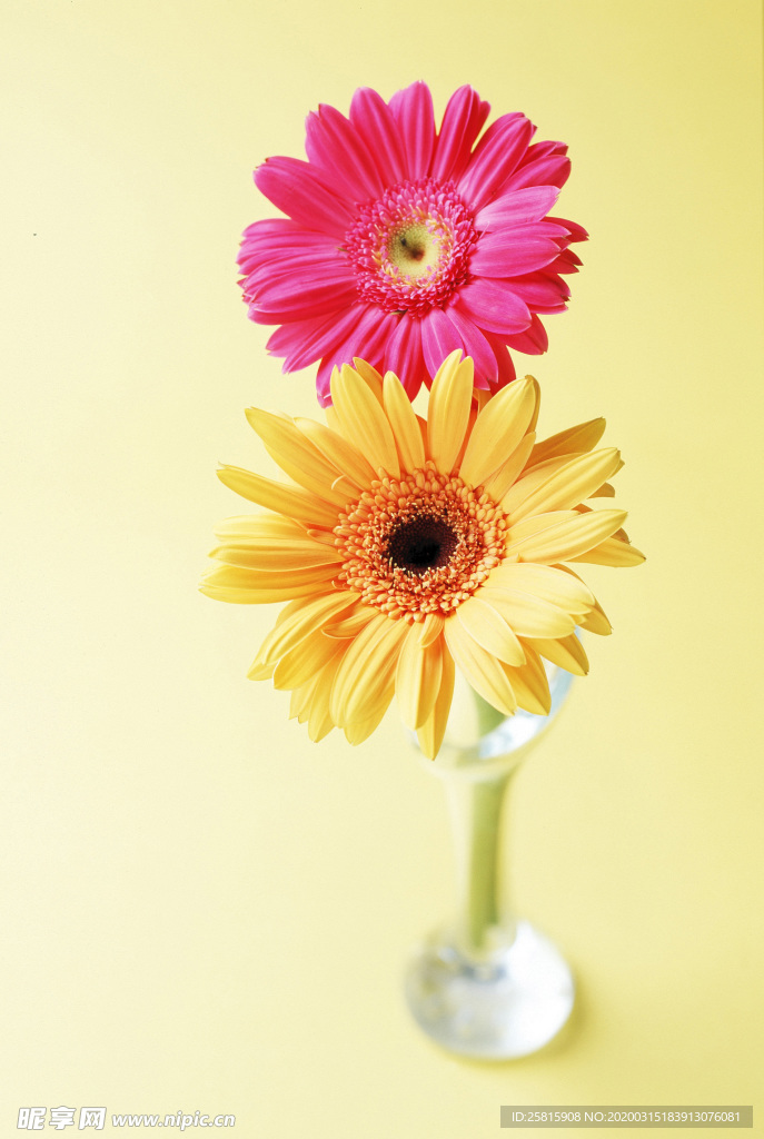 插花花艺花卉图片