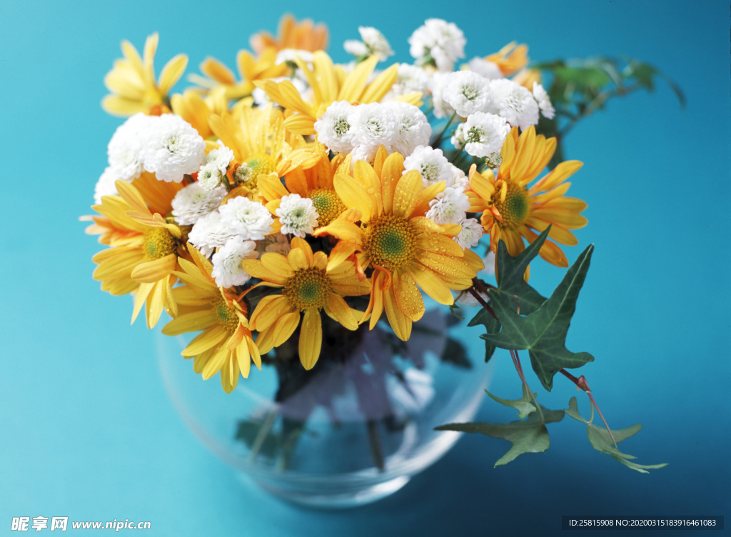 插花花艺花卉图片