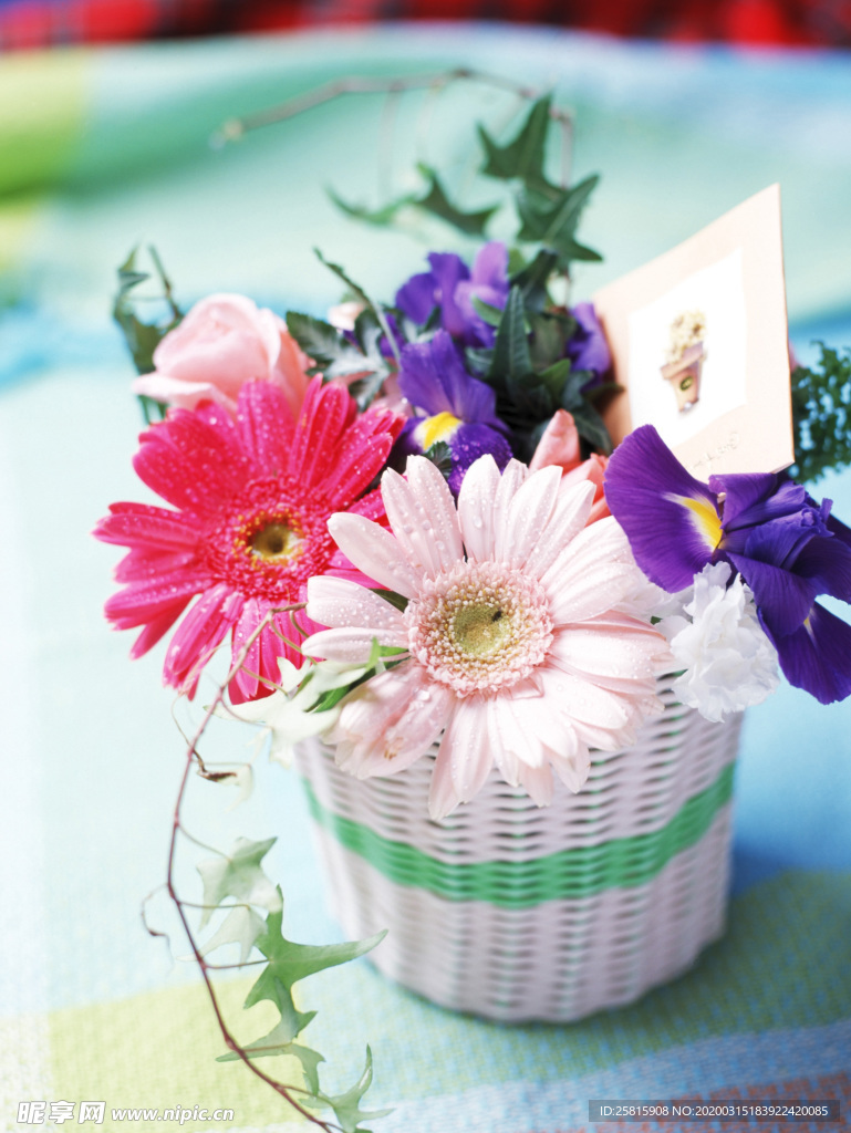 插花花艺花卉图片