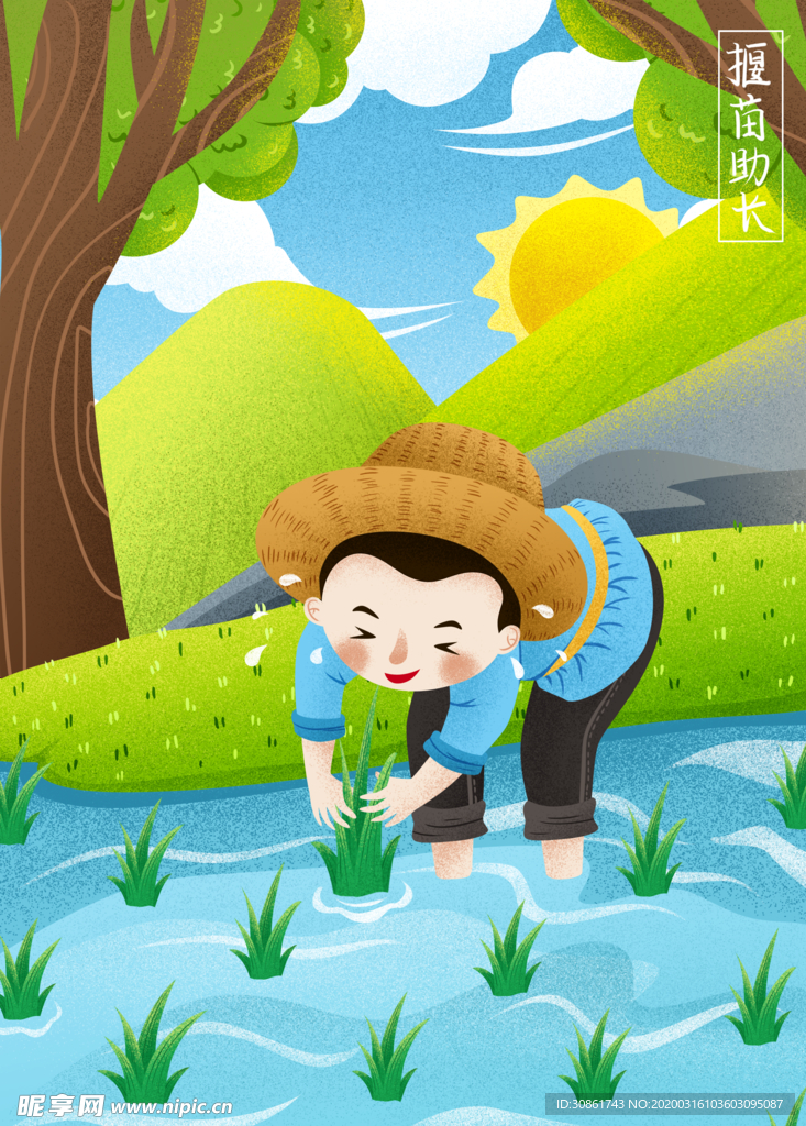 拔苗助长成语故事插画