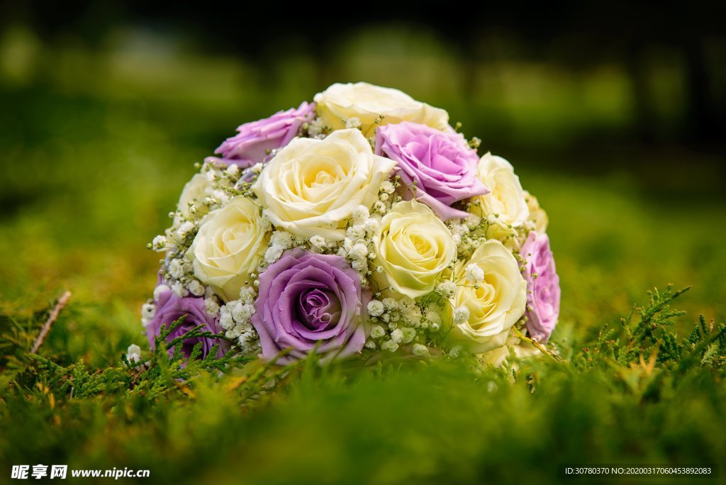 草地花束
