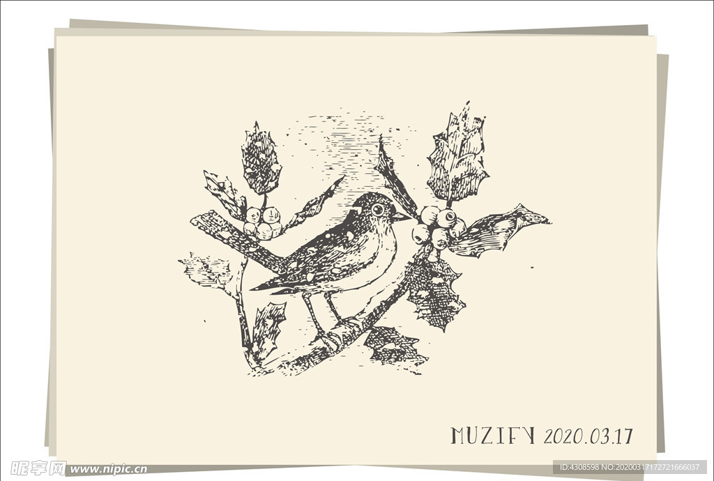 小鸟和浆果素描画