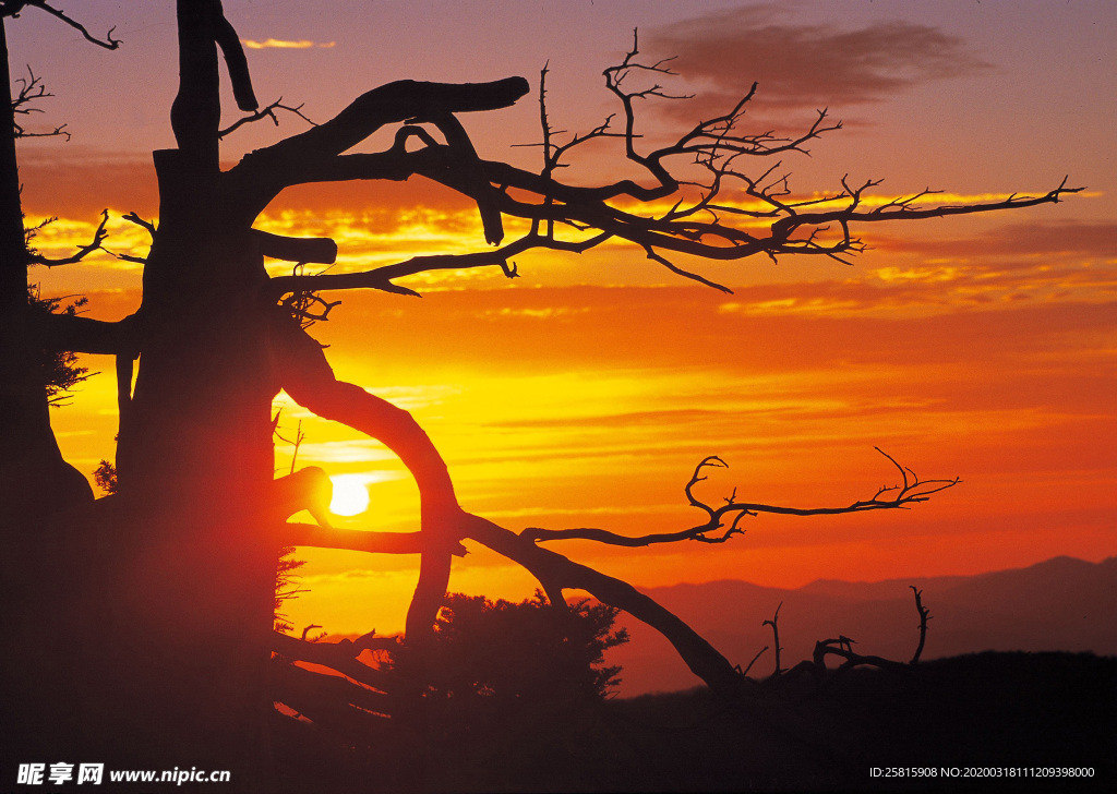 彩霞日出夕阳火烧云图片