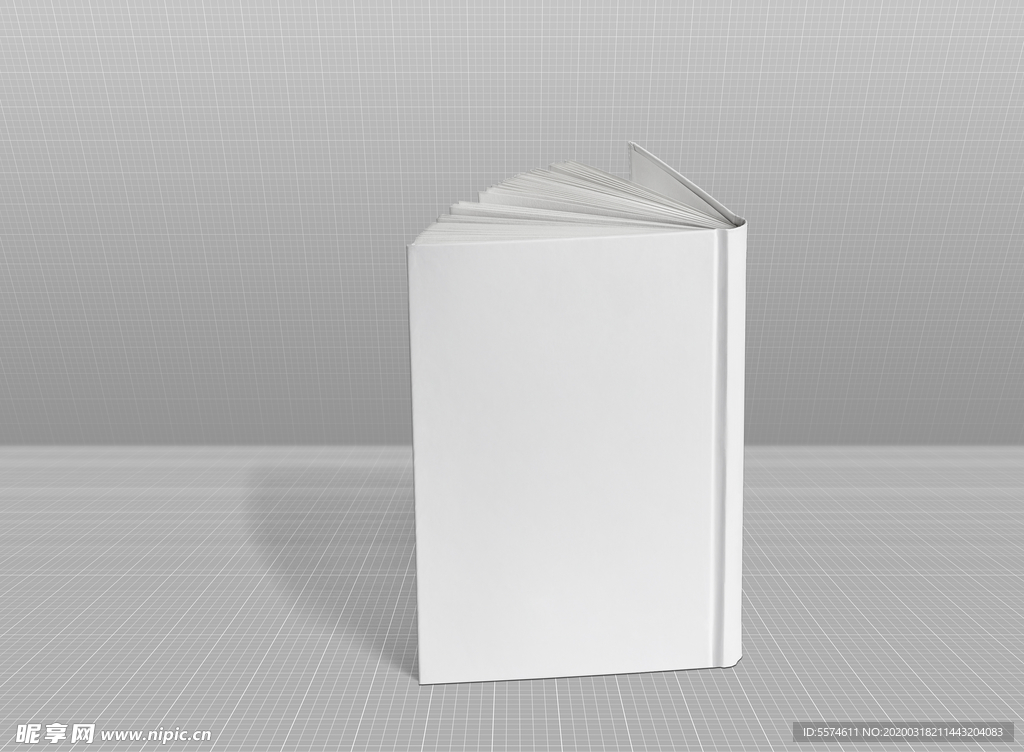 硬壳厚书籍样机