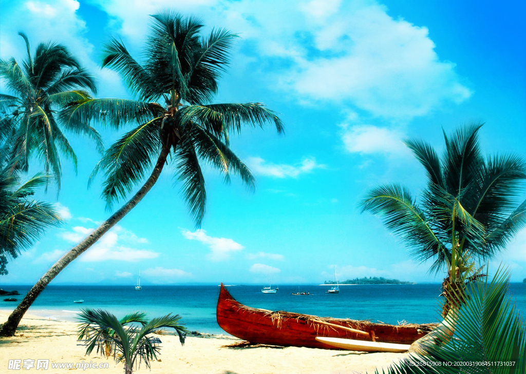 沙滩海岸海滩岛屿图片