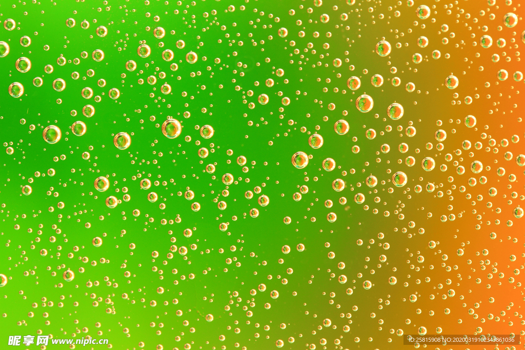 露水露珠水珠图片背景