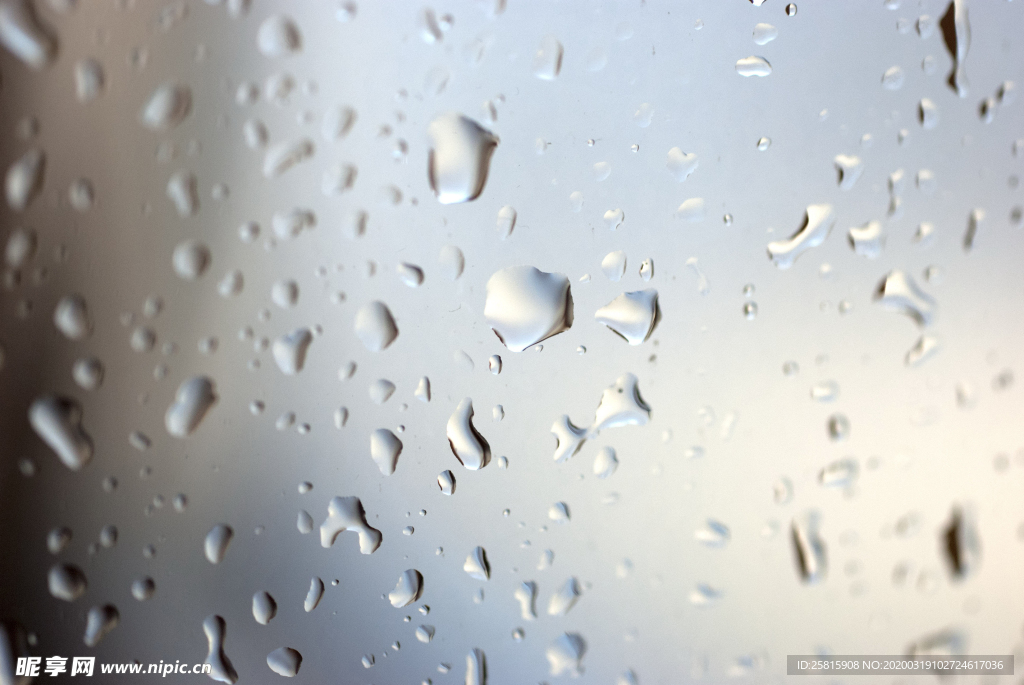 露水露珠水珠图片背景