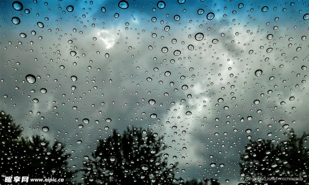 露水露珠水珠图片背景