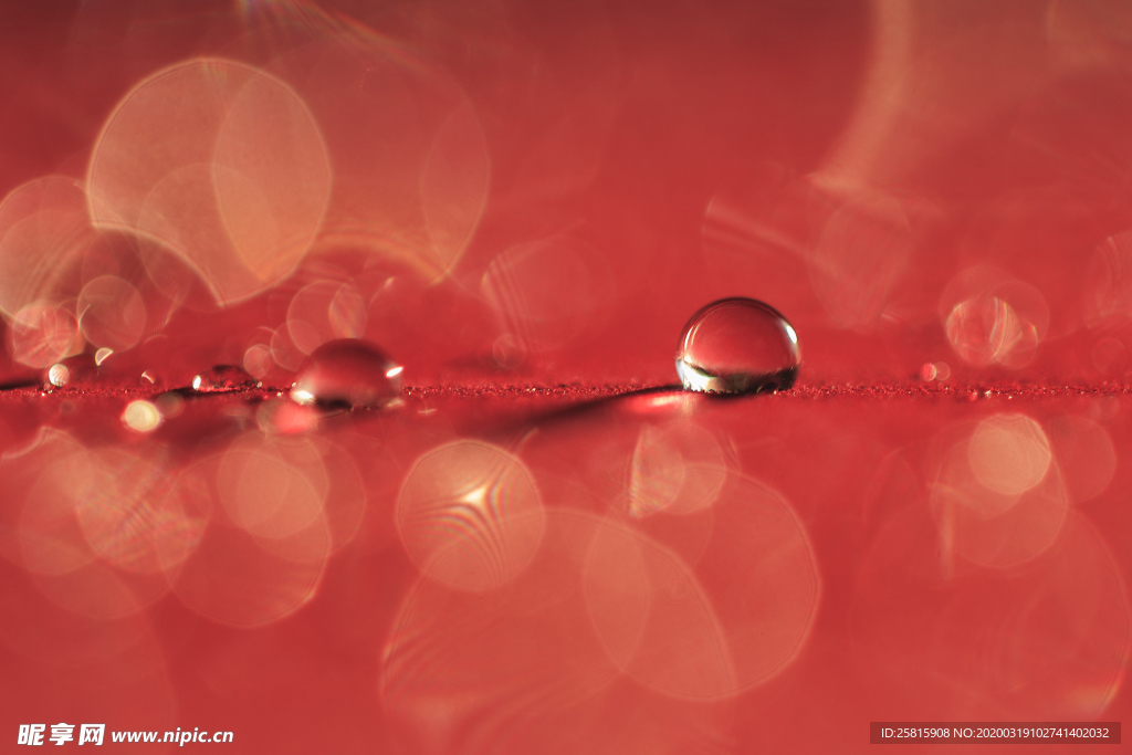 露水露珠水珠图片背景