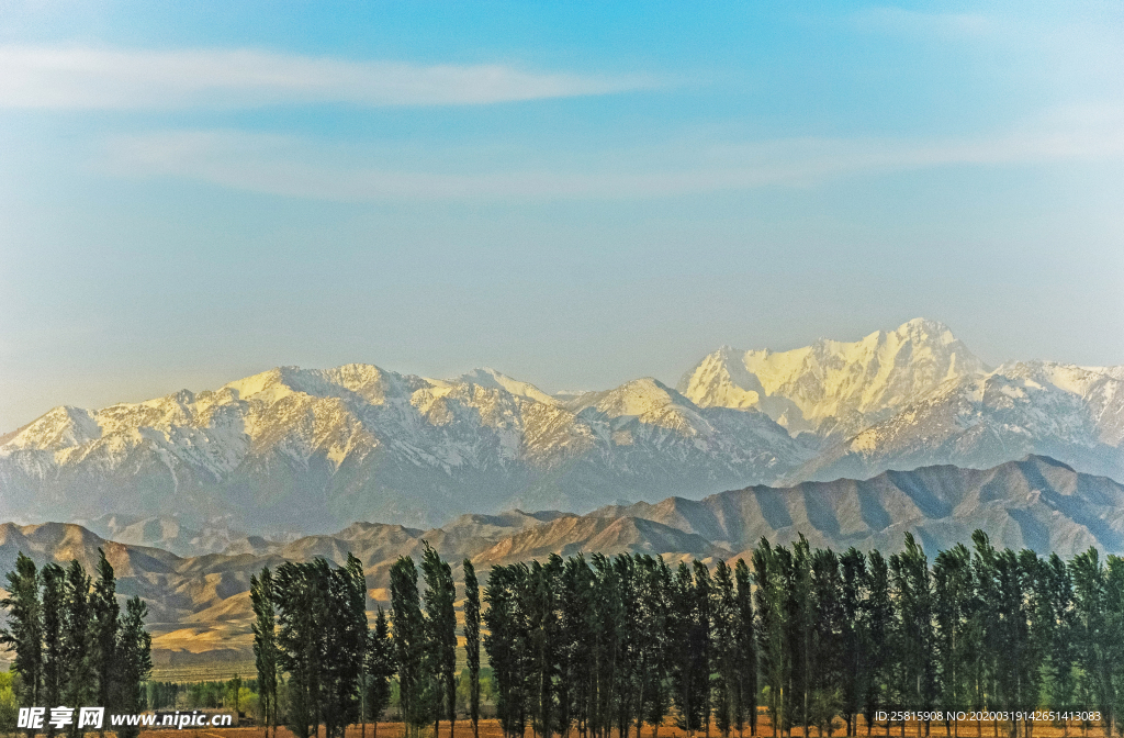 沙漠戈壁森林图片