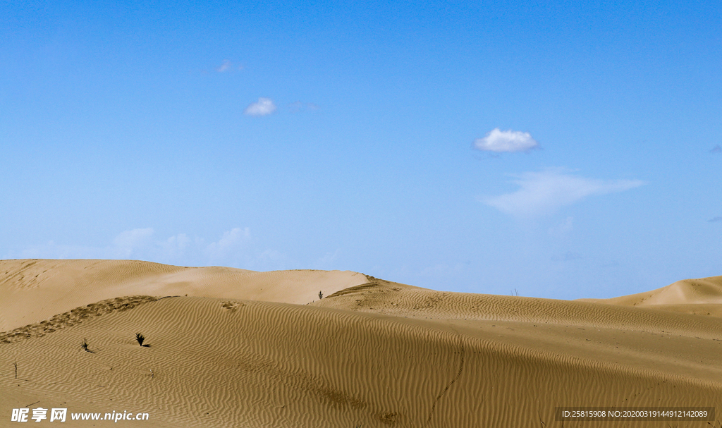 沙漠戈壁荒野遗迹图片