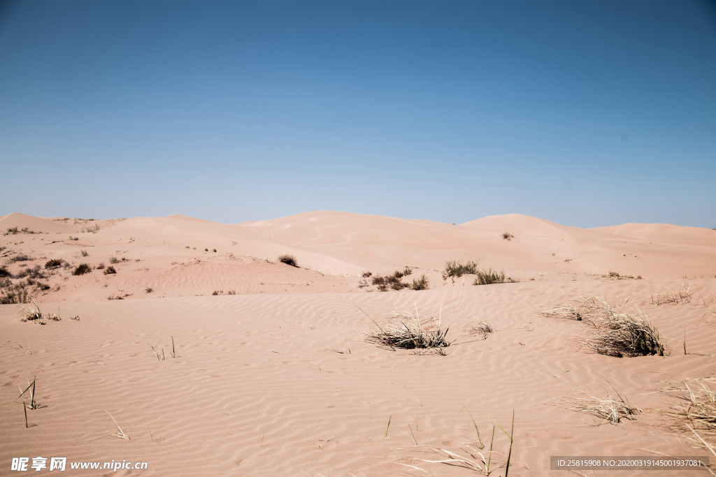 沙漠戈壁荒野遗迹图片