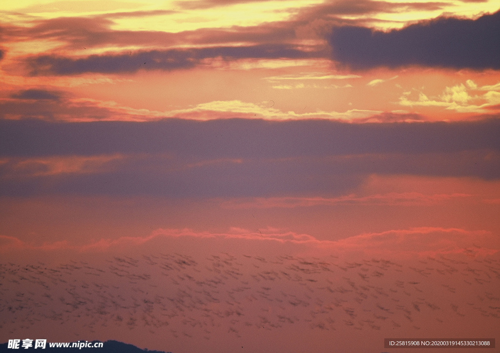 沙漠戈壁荒野遗迹图片