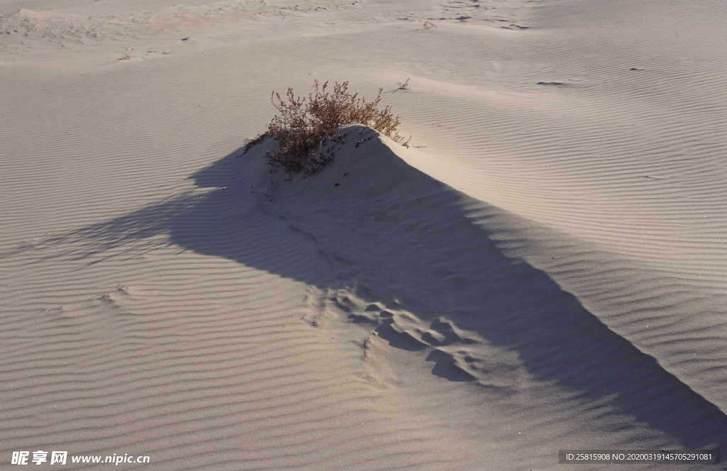 沙漠戈壁荒野遗迹图片